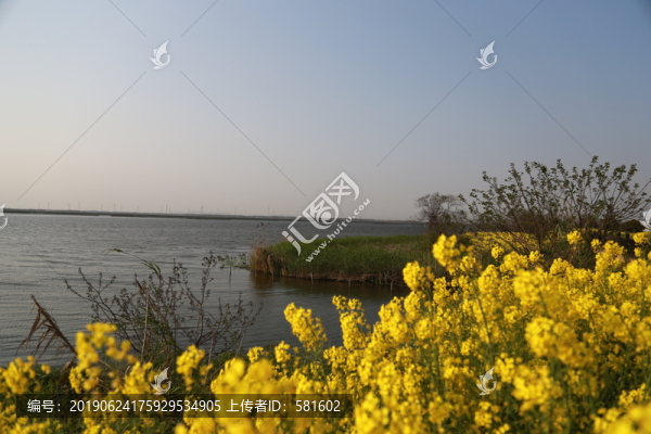 陽澄湖風(fēng)光
