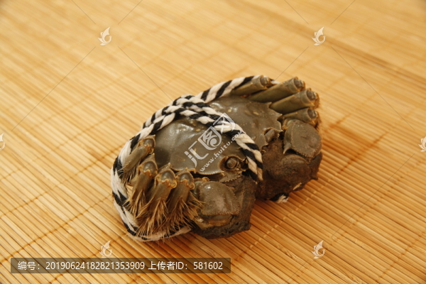 陽(yáng)澄湖大閘蟹實(shí)拍