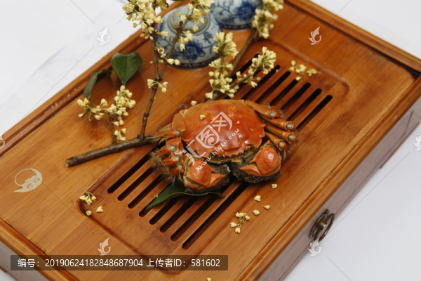 陽澄湖大閘蟹實(shí)拍