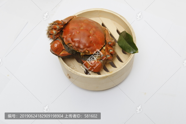 陽(yáng)澄湖大閘蟹實(shí)拍