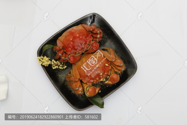 陽澄湖大閘蟹實拍