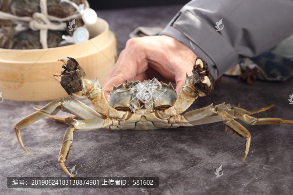 大閘蟹