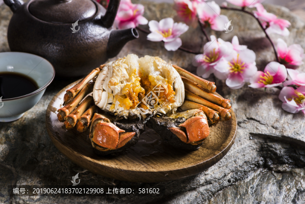 陽(yáng)澄湖大閘蟹實(shí)拍