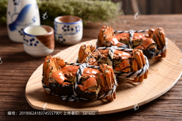 陽(yáng)澄湖大閘蟹實(shí)拍