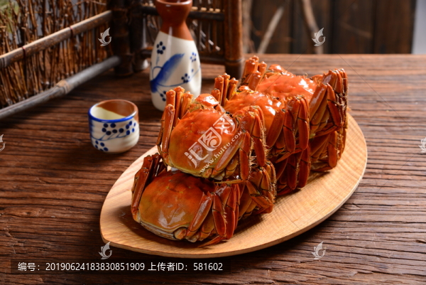 陽(yáng)澄湖大閘蟹實(shí)拍