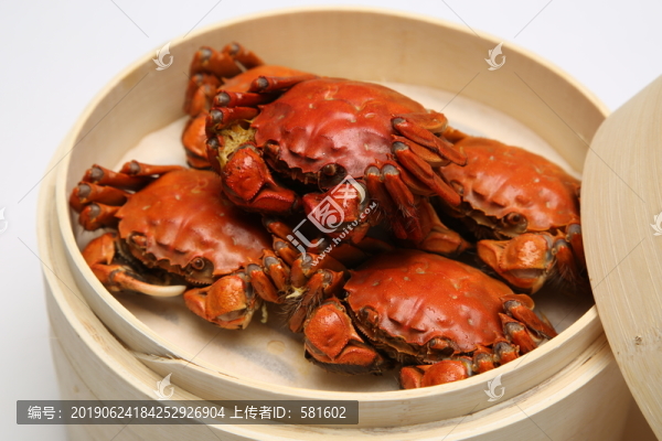 陽澄湖大閘蟹實拍
