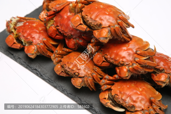 陽(yáng)澄湖大閘蟹實(shí)拍
