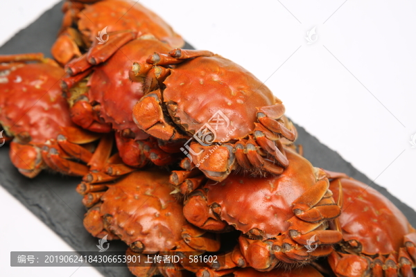 陽澄湖大閘蟹實(shí)拍