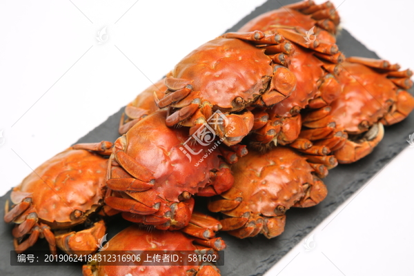 陽(yáng)澄湖大閘蟹實(shí)拍