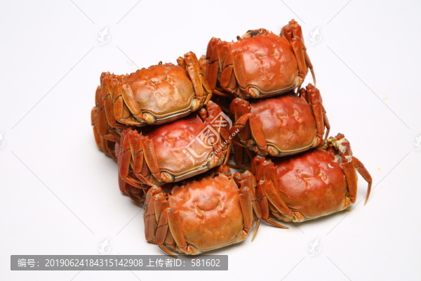 陽澄湖大閘蟹實(shí)拍