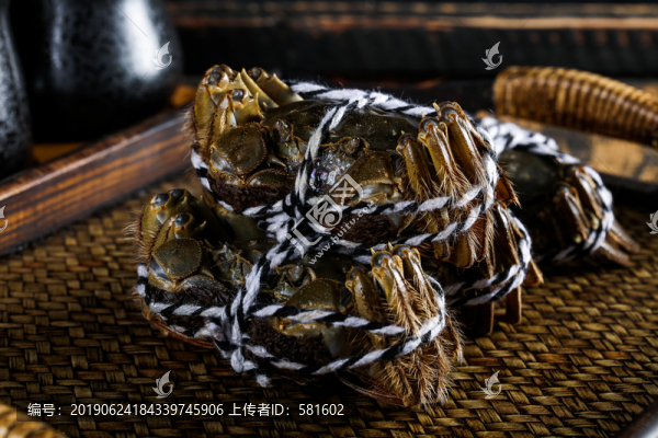陽澄湖大閘蟹實(shí)拍