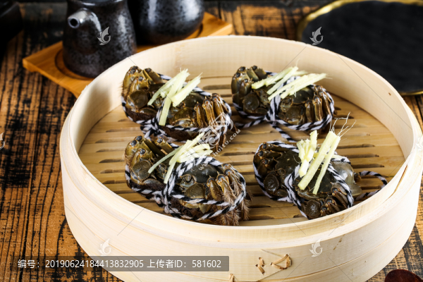 陽澄湖大閘蟹實拍