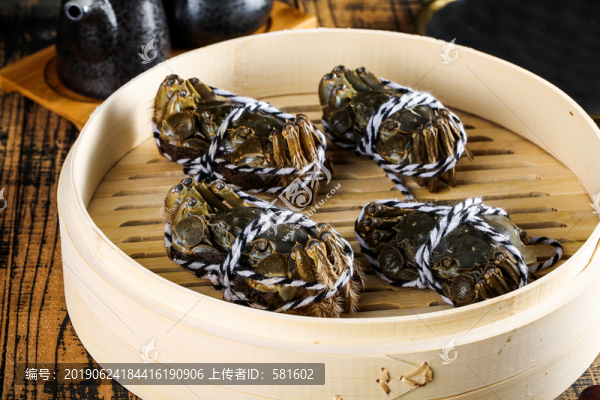 陽(yáng)澄湖大閘蟹實(shí)拍