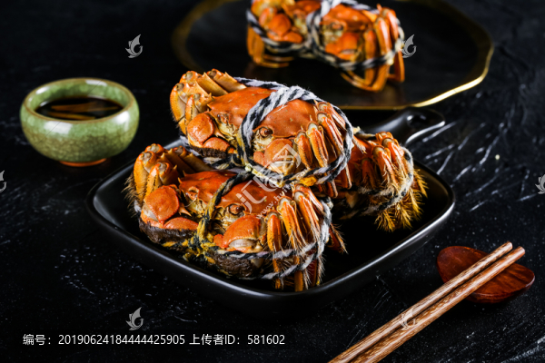 陽澄湖大閘蟹實拍