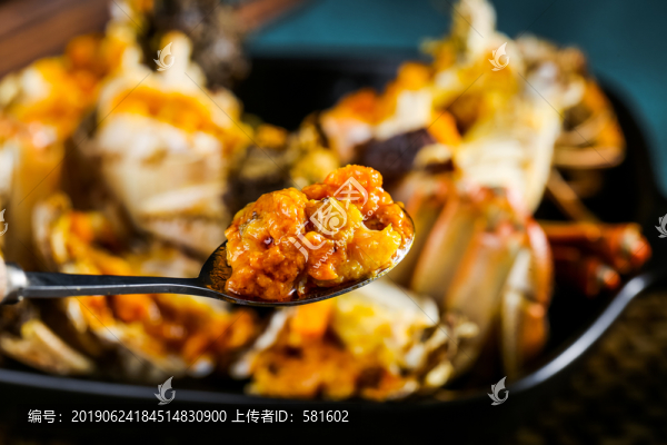 陽澄湖大閘蟹實拍