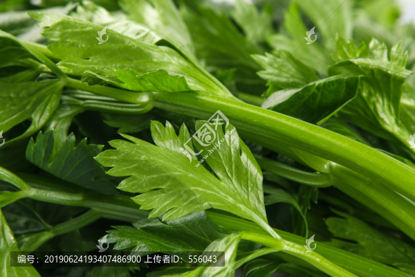 芹菜葉
