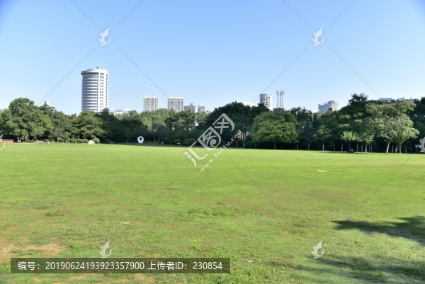 藍天草坪