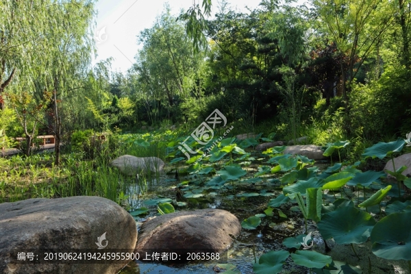 夏至小暑