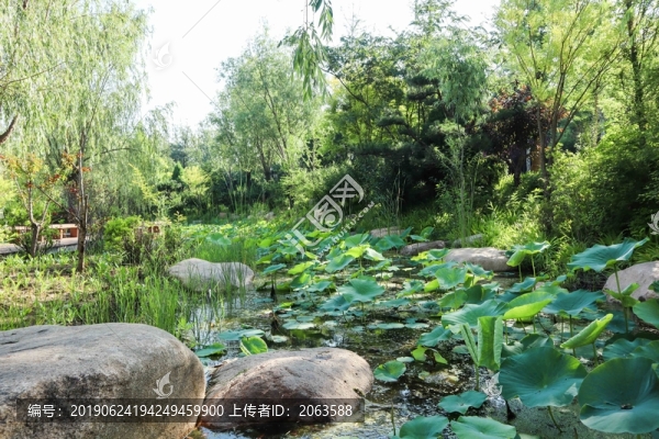 夏至小暑