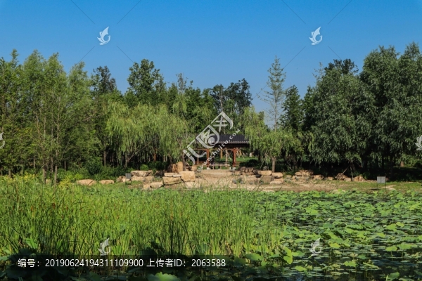 夏至小暑
