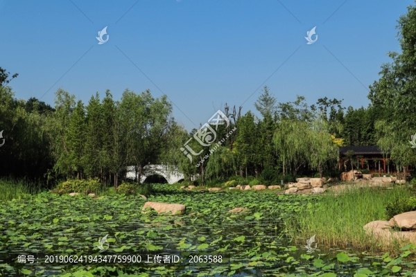 夏至小暑