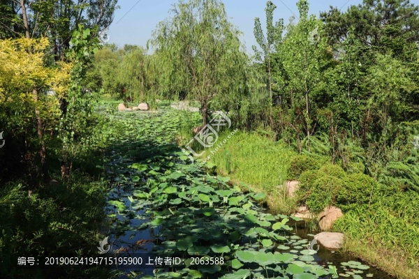 夏至小暑