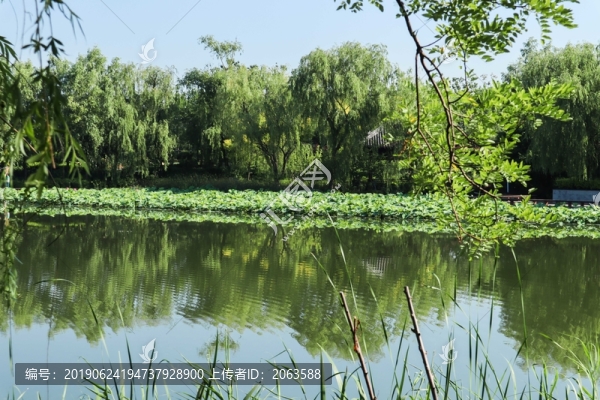 夏至小暑
