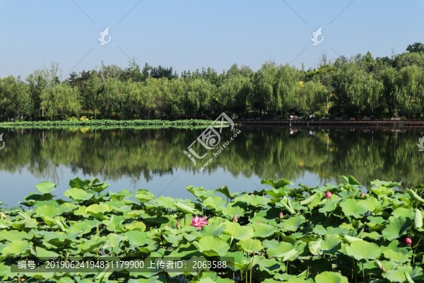 夏至小暑