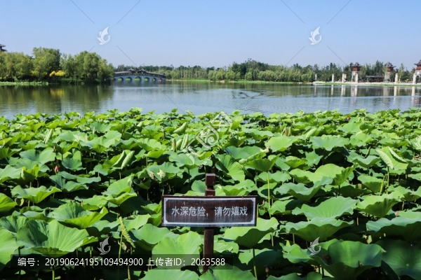 夏至小暑