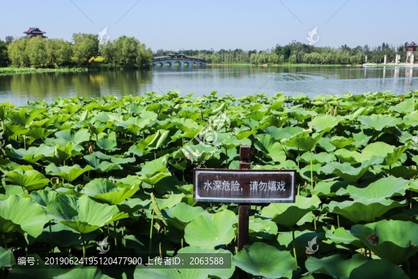 夏至小暑