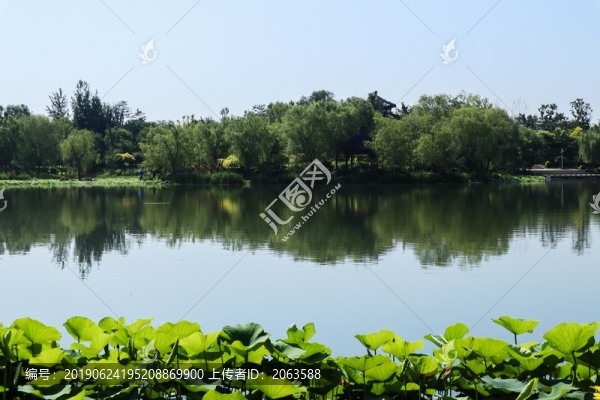 夏至小暑