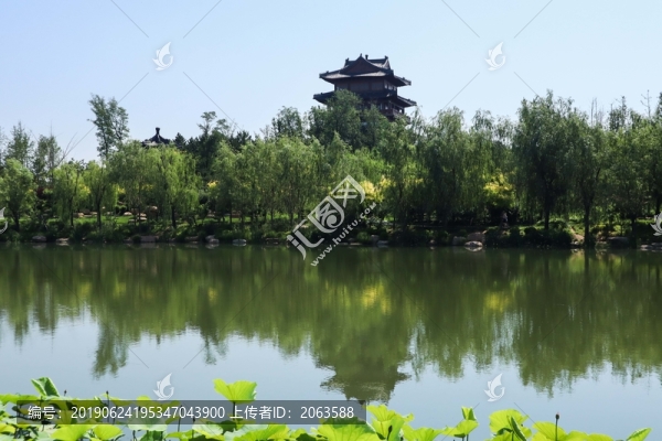 夏至小暑