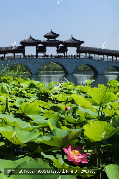 夏至小暑