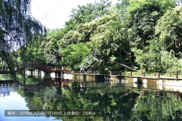 公園景色