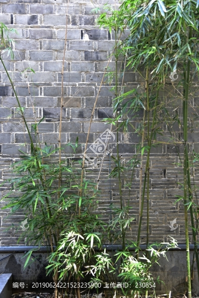 青竹背景