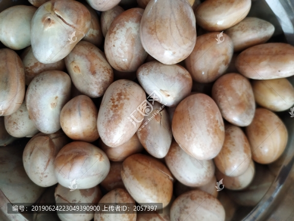 波蘿蜜核