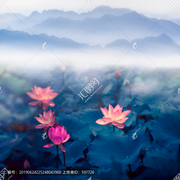 水墨荷花