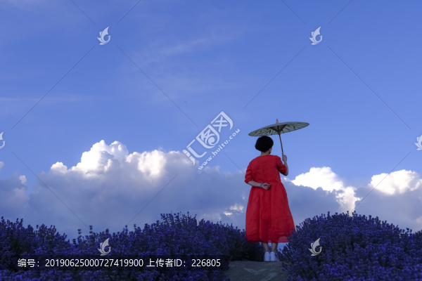 背影