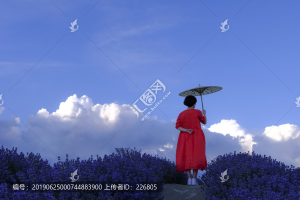 背影