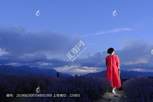背影