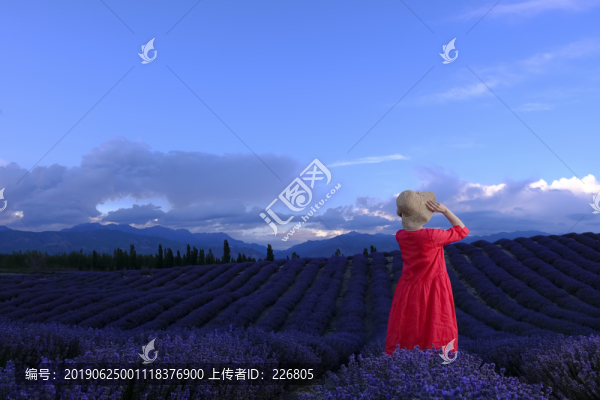 背影