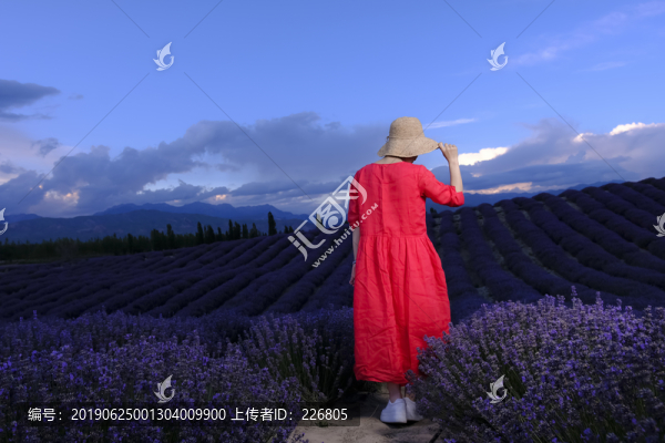 背影