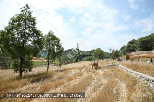 郊外