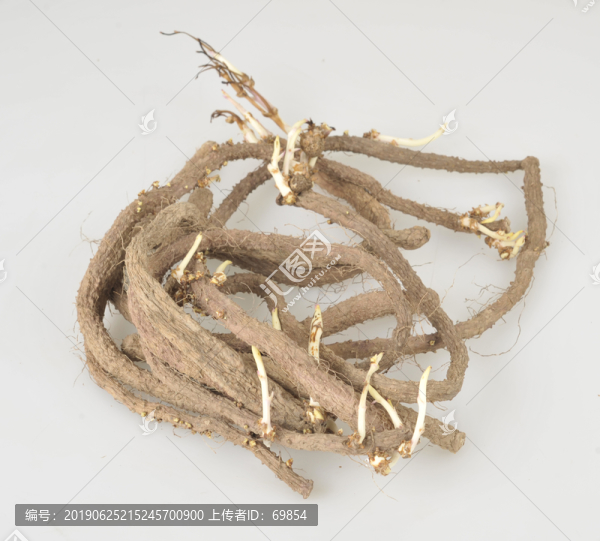 發(fā)芽的山藥