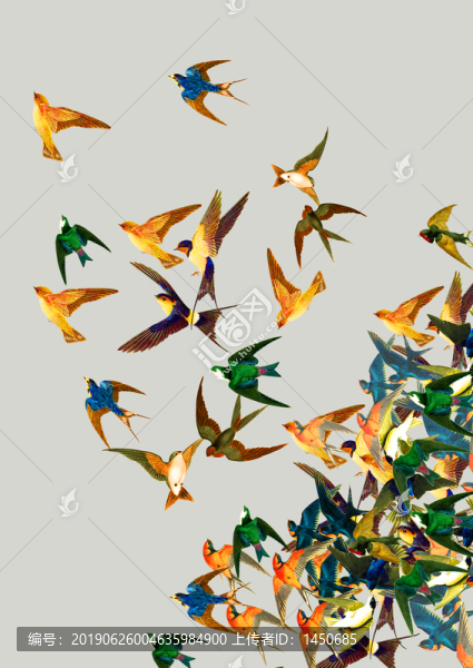 鳥群