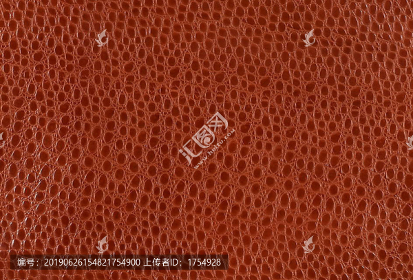 高清棕色蛇皮紋