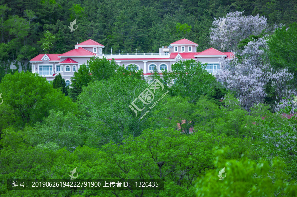 山中度假村