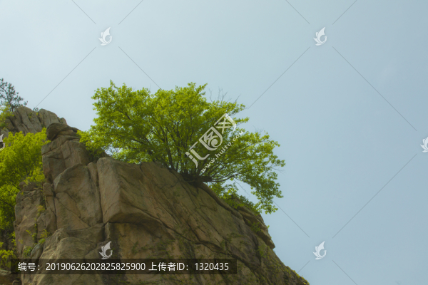 山林