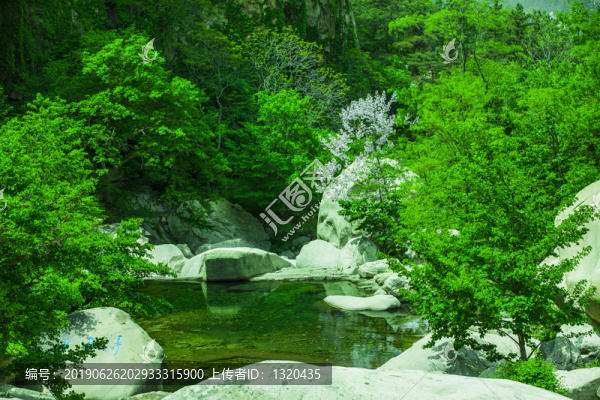 山林