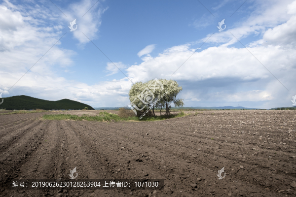 白云黑土